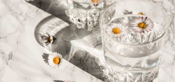 white daisy on clear glass cup